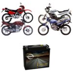Bateria Route Honda Cbx 200 Strada / Xr 200 - Ytx8-bs